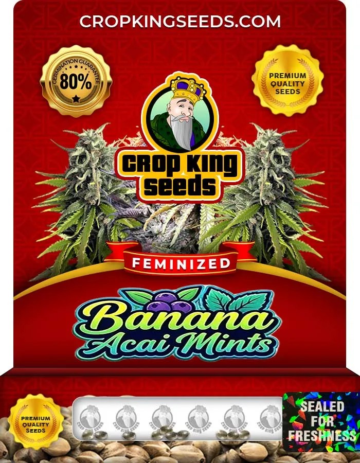 Banana Acai Mints Strain Feminized Seeds