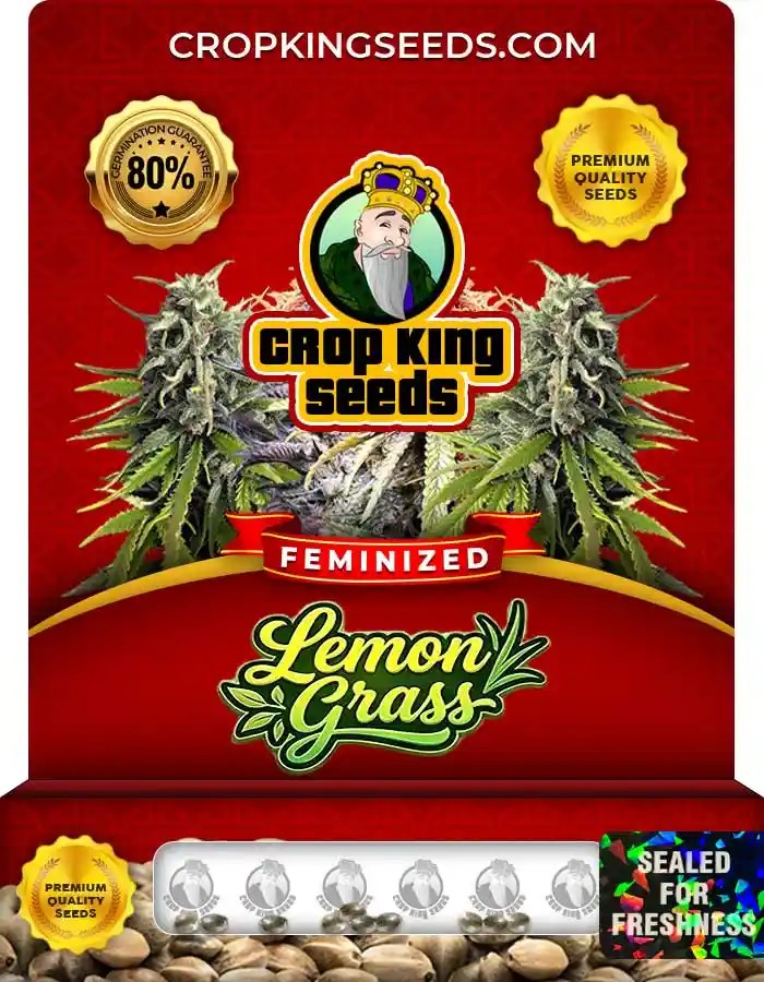 Lemon Grass Strain Feminized Seeds