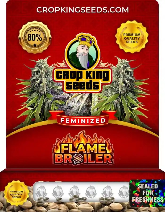 Flame Broiler Strain Feminized Seeds