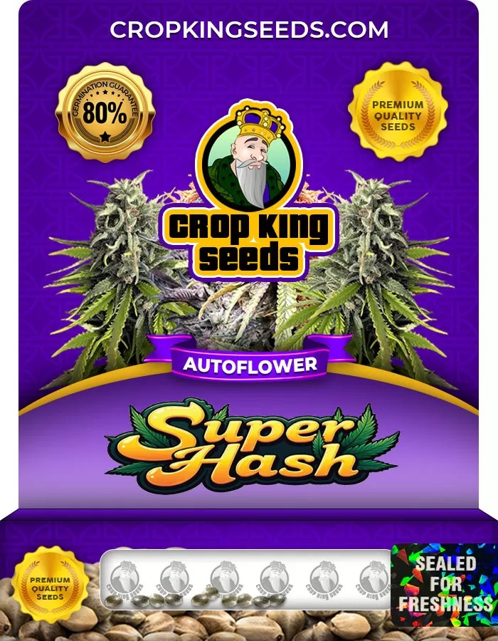 Super Hash Autoflower Marijuana Seeds
