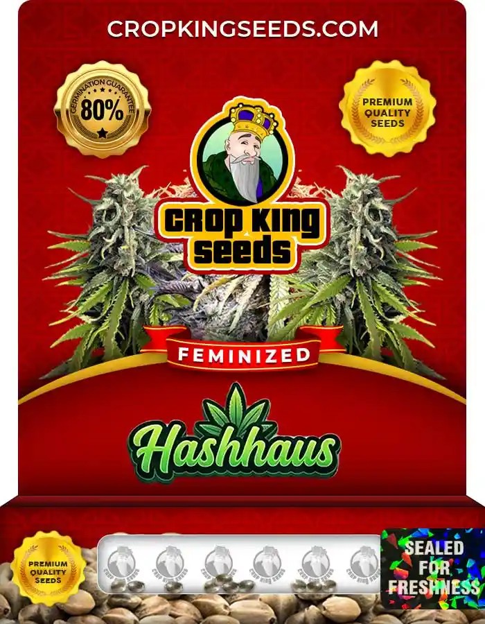 Hashhaus Strain Feminized Seeds