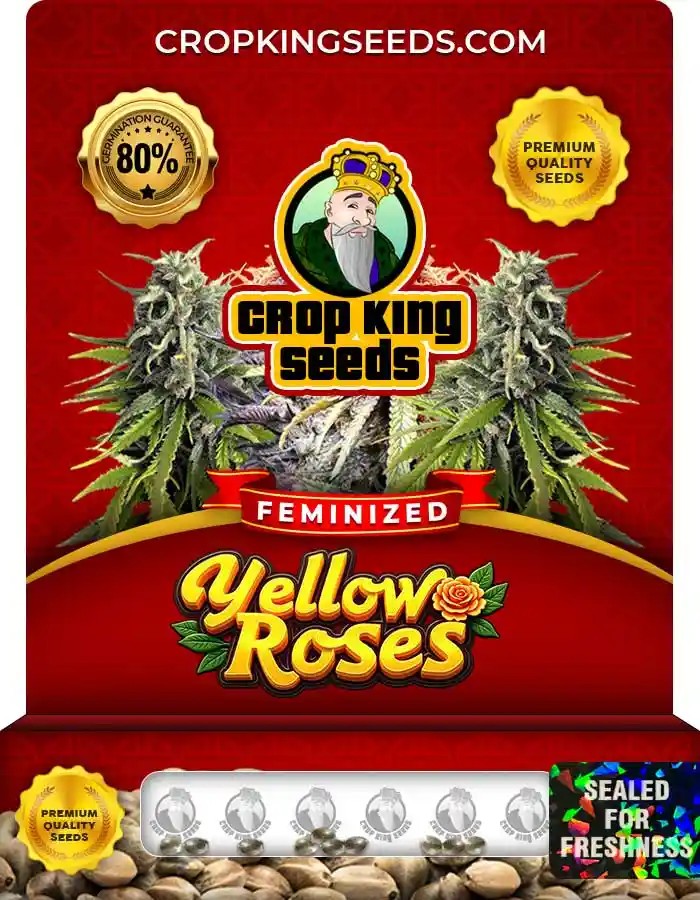 Yellow Roses Strain Feminized Marijuana Seeds