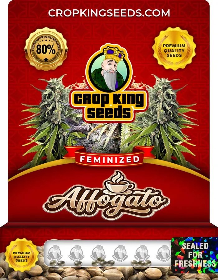 Affogato Strain Feminized Seeds