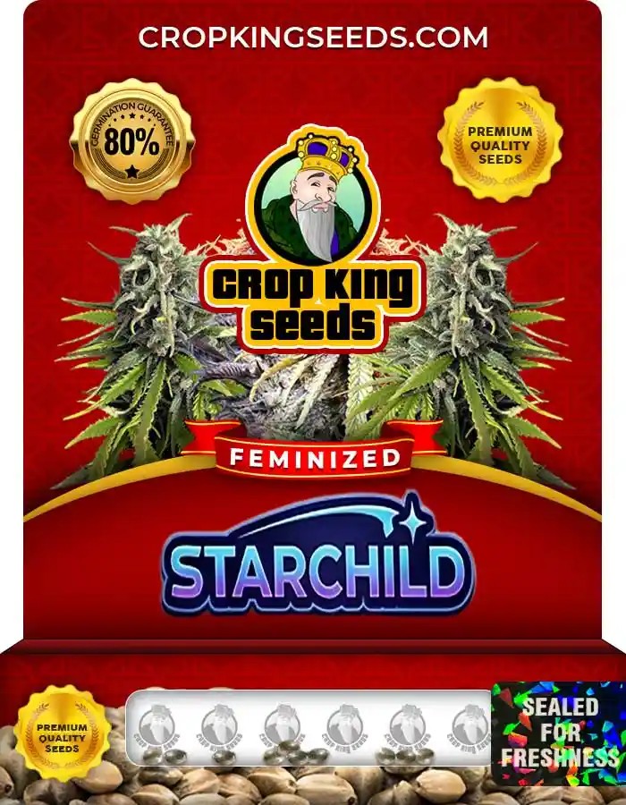Starchild Strain Feminized Marijuana Seeds