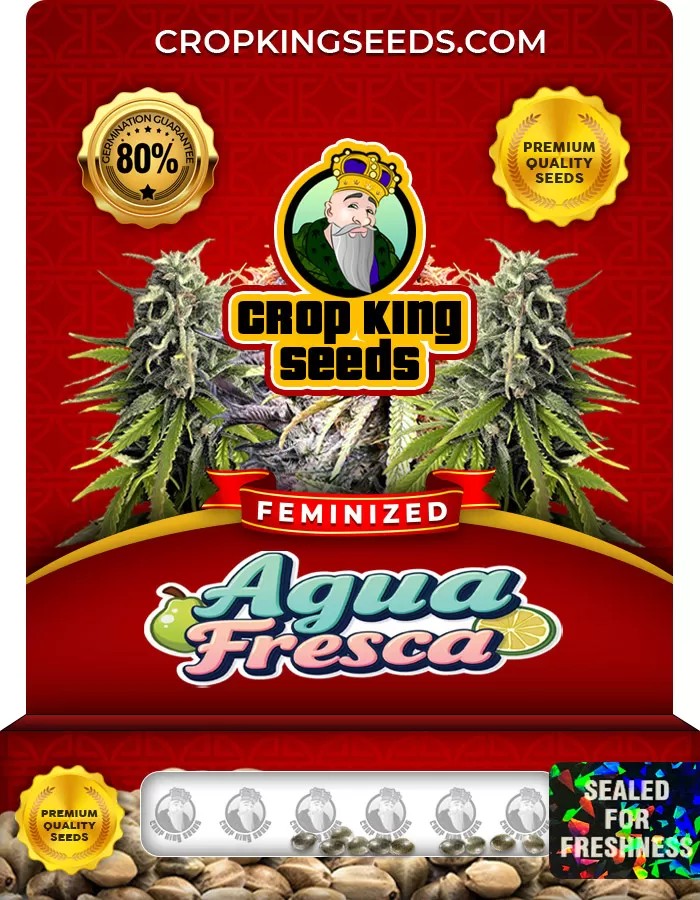 Agua Fresca Feminized Marijuana Seeds