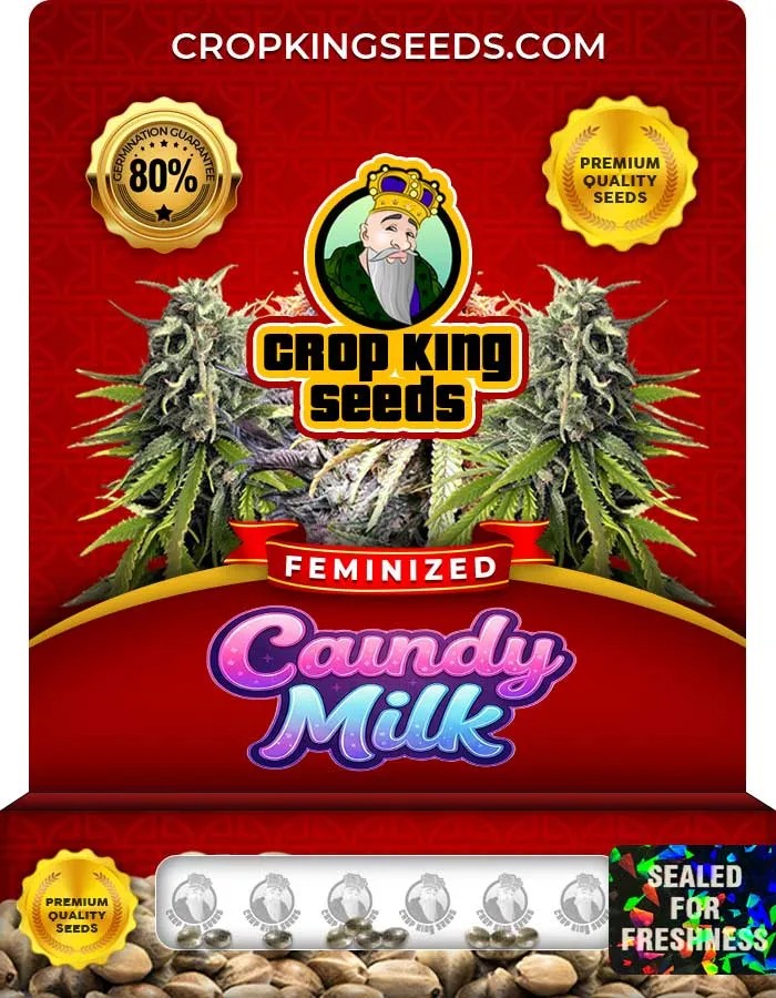 Candy Milk Strain Feminized Seeds