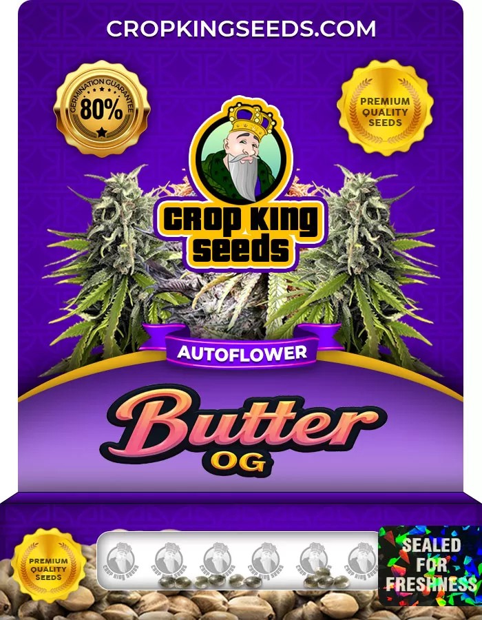 Butter OG Autoflowering Marijuana Seeds