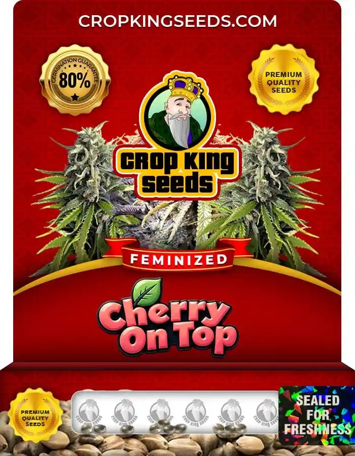 Cherry on Top Strain Feminized Marijuana Seeds