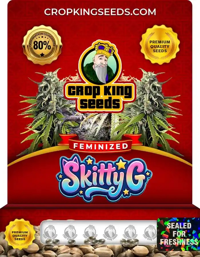 Skitty G Strain Feminized Seeds