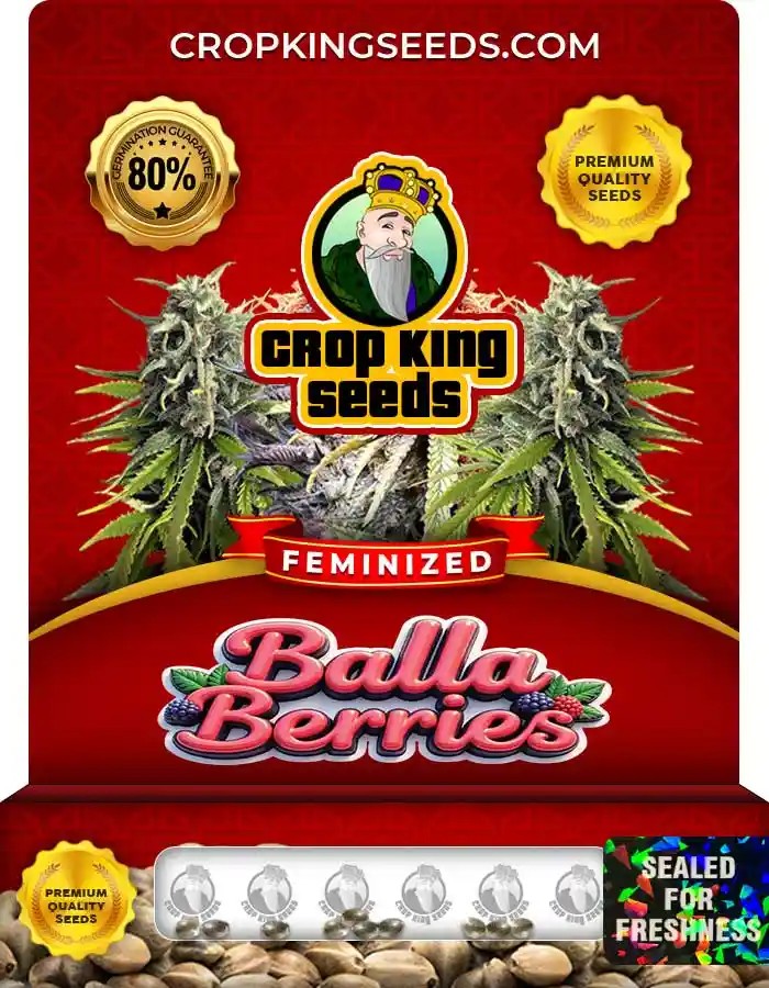 Balla Berries Feminized Seeds