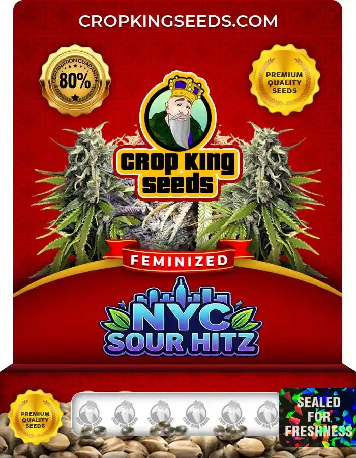 NYC Sour Hitz Strain Feminized Seeds