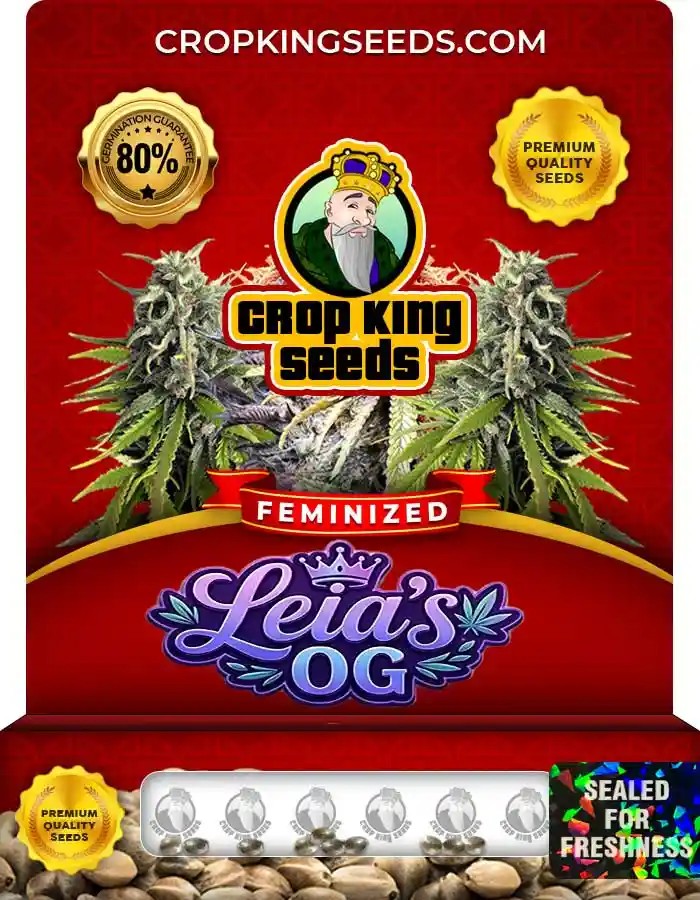 Leia’s OG Feminized Seeds