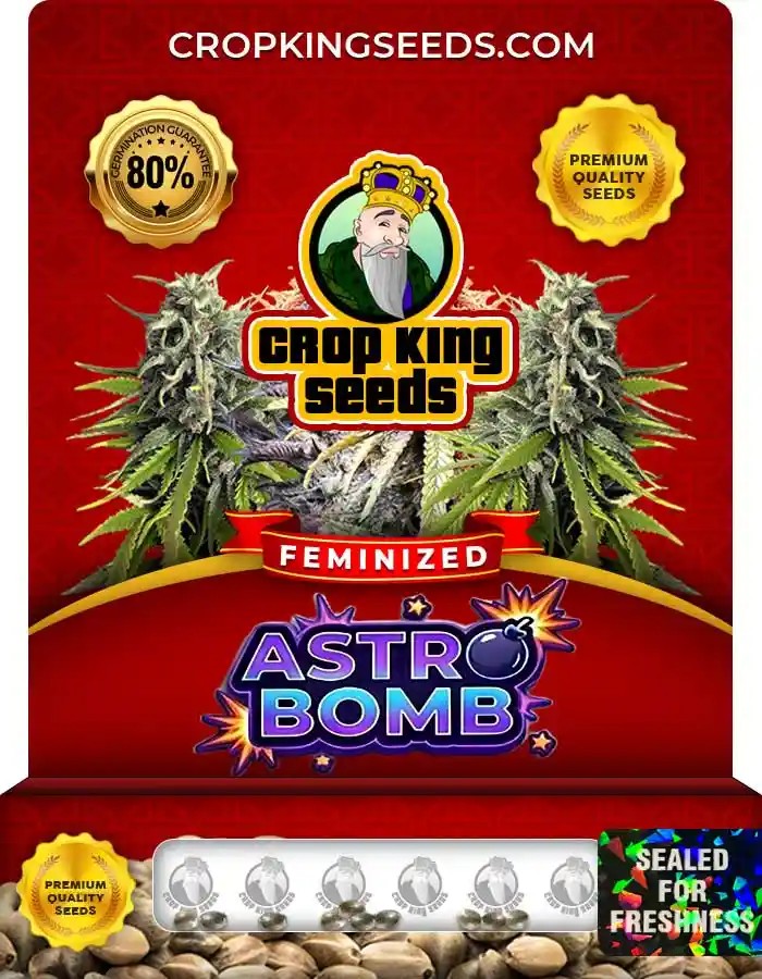 Astro Bomb Strain Feminized Seeds
