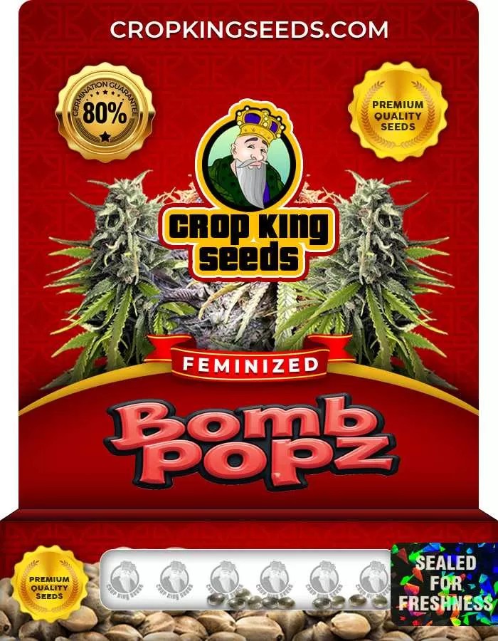 Bomb Popz Strain Feminized Marijuana Seeds