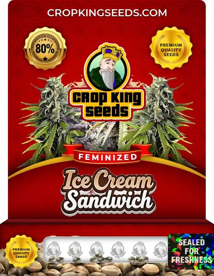 Ice Cream Sandwich Strain Feminized Marijuana Seeds