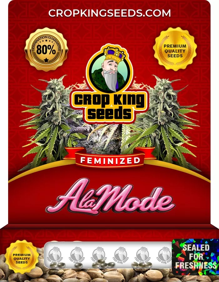 À la Mode Feminized Marijuana Seeds