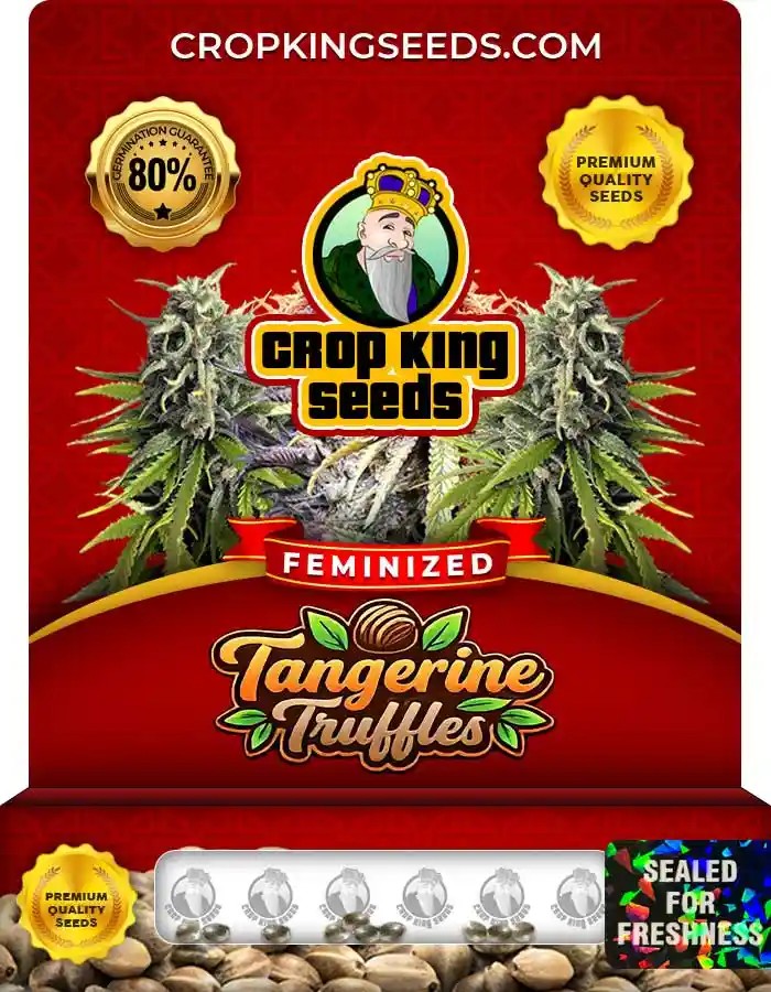 Tangerine Truffles Strain Feminized Seeds