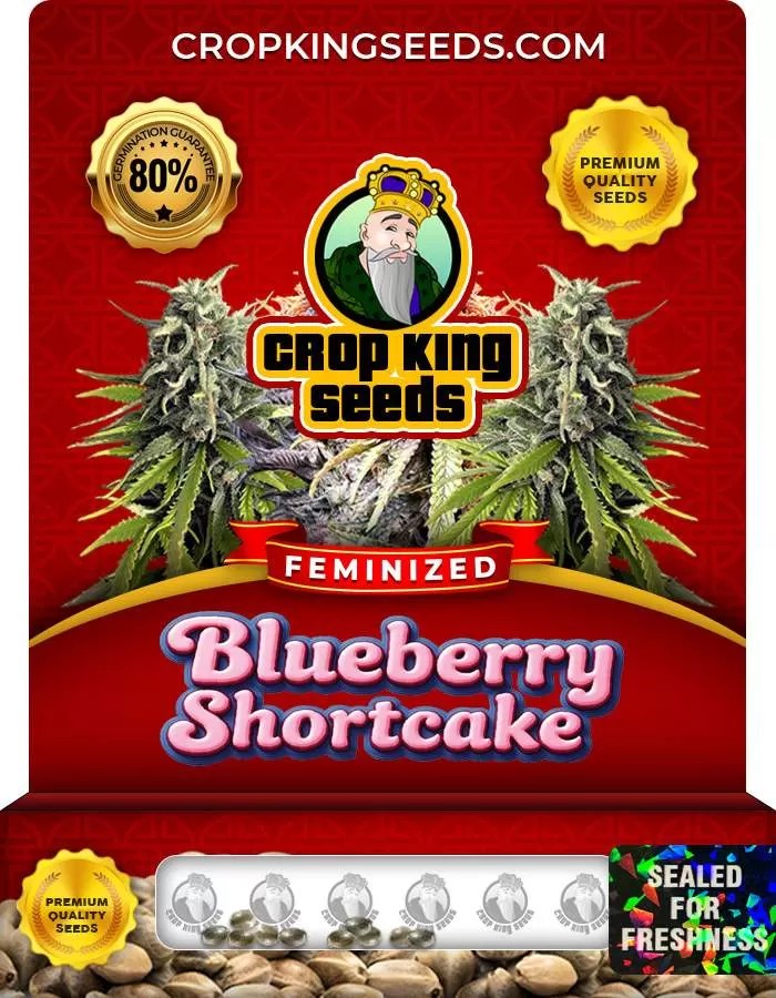 Blueberry Shortcake Feminized Seeds