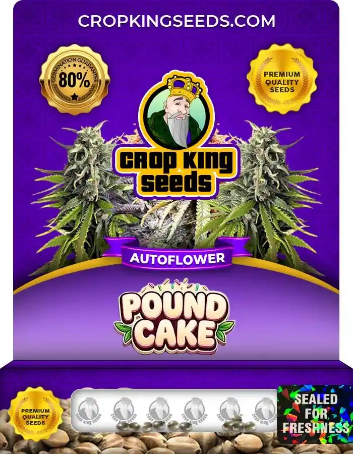 Pound Cake Autoflower Seeds