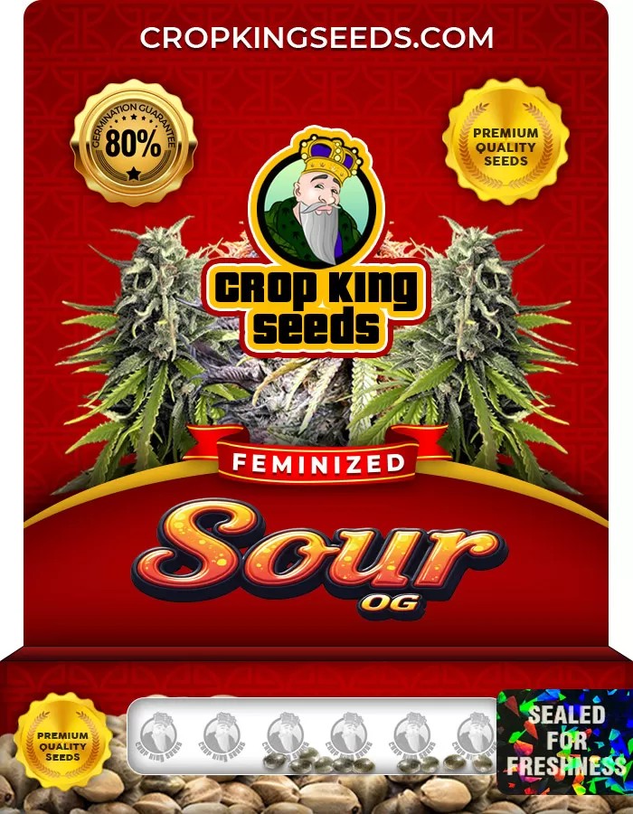 Sour OG Strain Feminized Marijuana Seeds