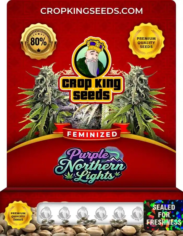 Purple Northern Lights Feminized Seeds