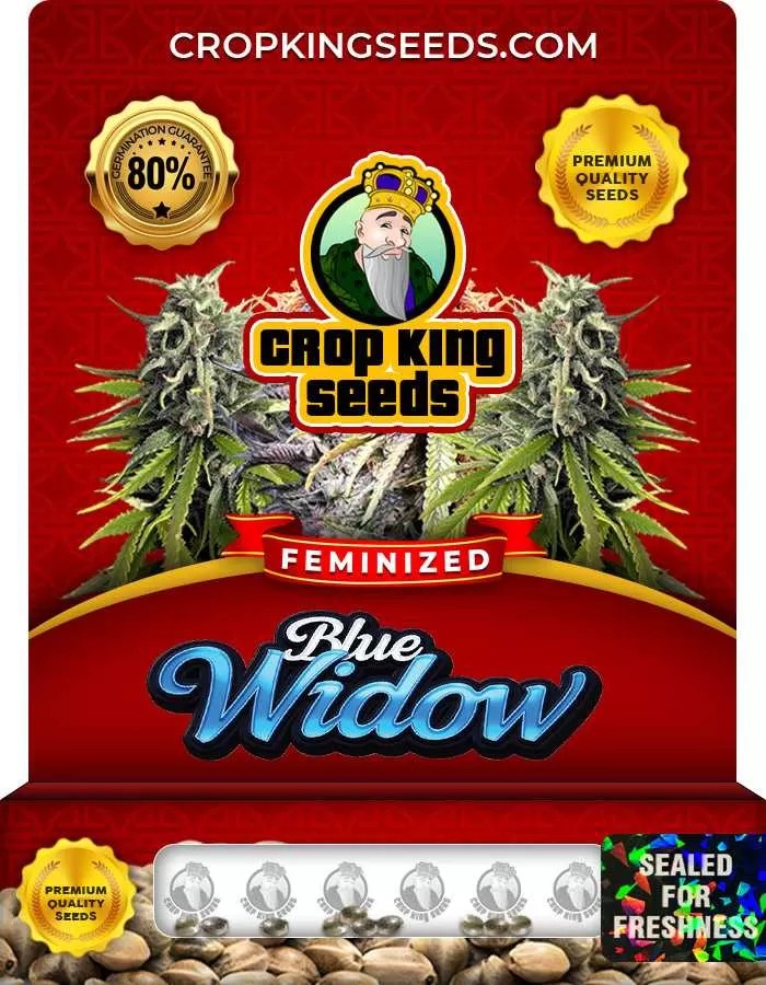 Blue Widow Feminized Marijuana Seeds