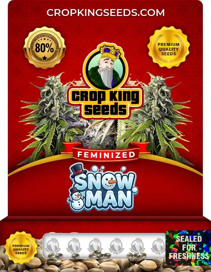 Snowman Strain Feminized Marijuana Seeds