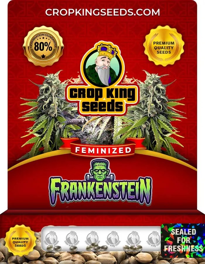Frankenstein Strain Feminized Seeds