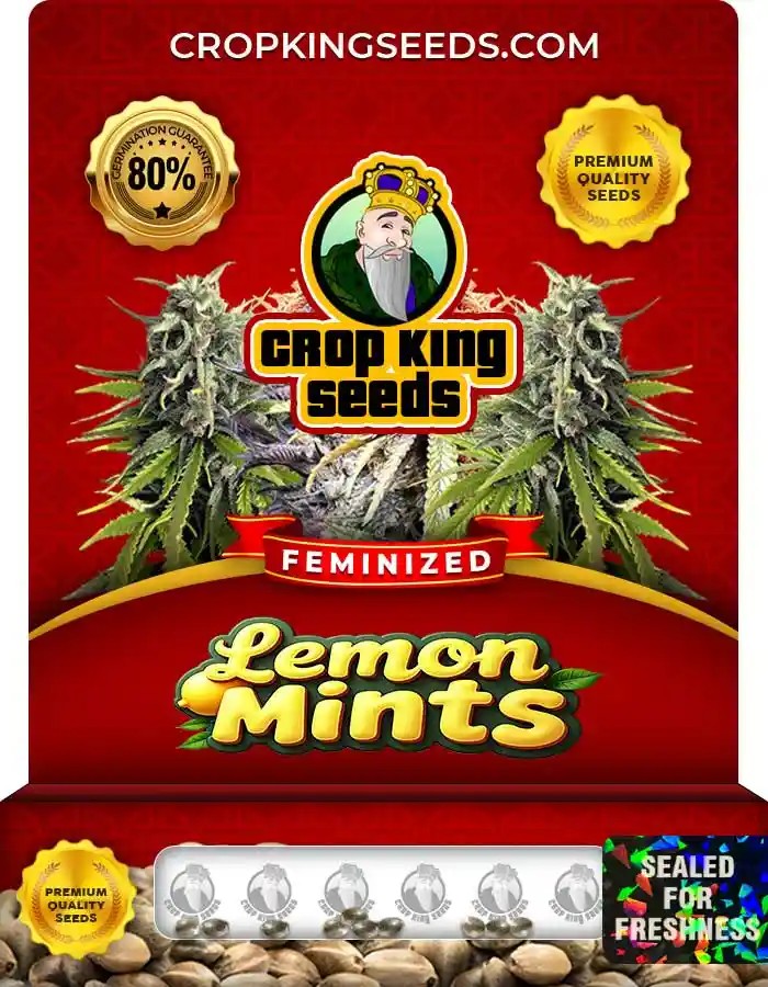 Lemon Mints Strain Feminized Marijuana Seeds