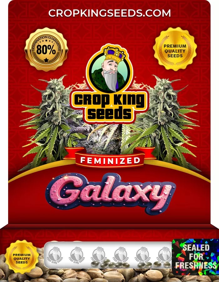Galaxy Feminized Marijuana Seeds