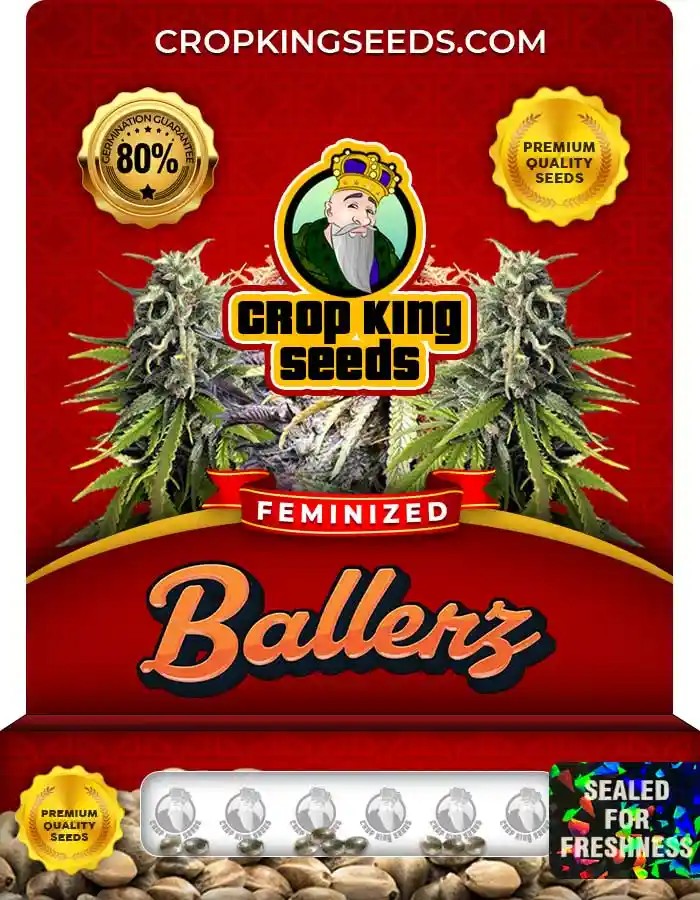 Ballerz Strain Feminized Seeds