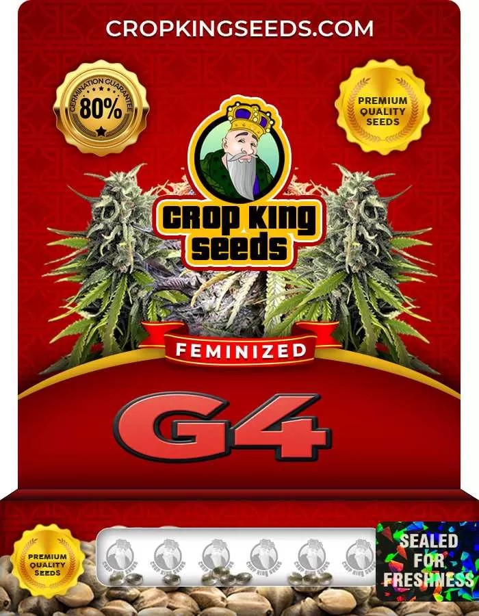 G4 Feminized Strain Seeds