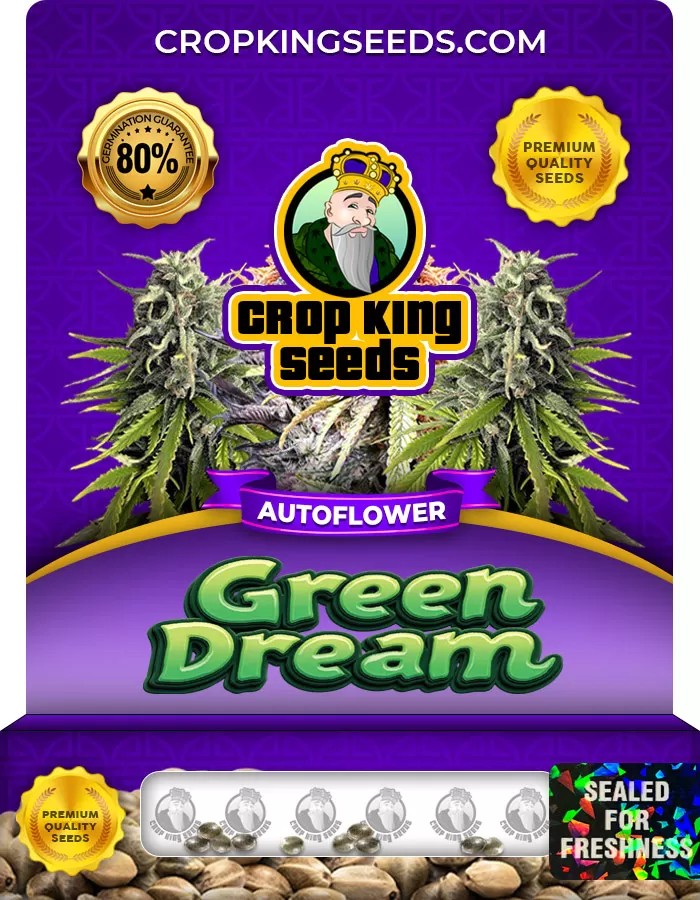Green Dream Autoflower Marijuana Seeds