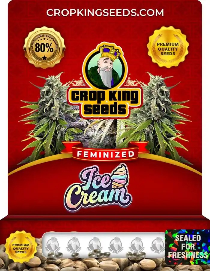 Ice Cream Strain Feminized Marijuana Seeds