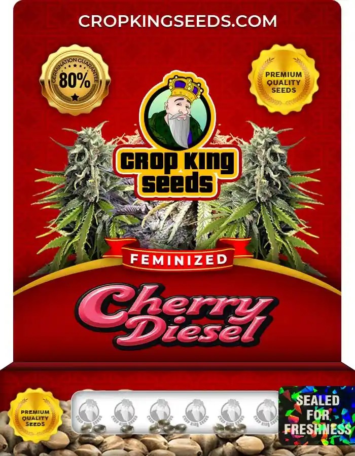 Cherry Diesel Strain Feminized Marijuana Seeds