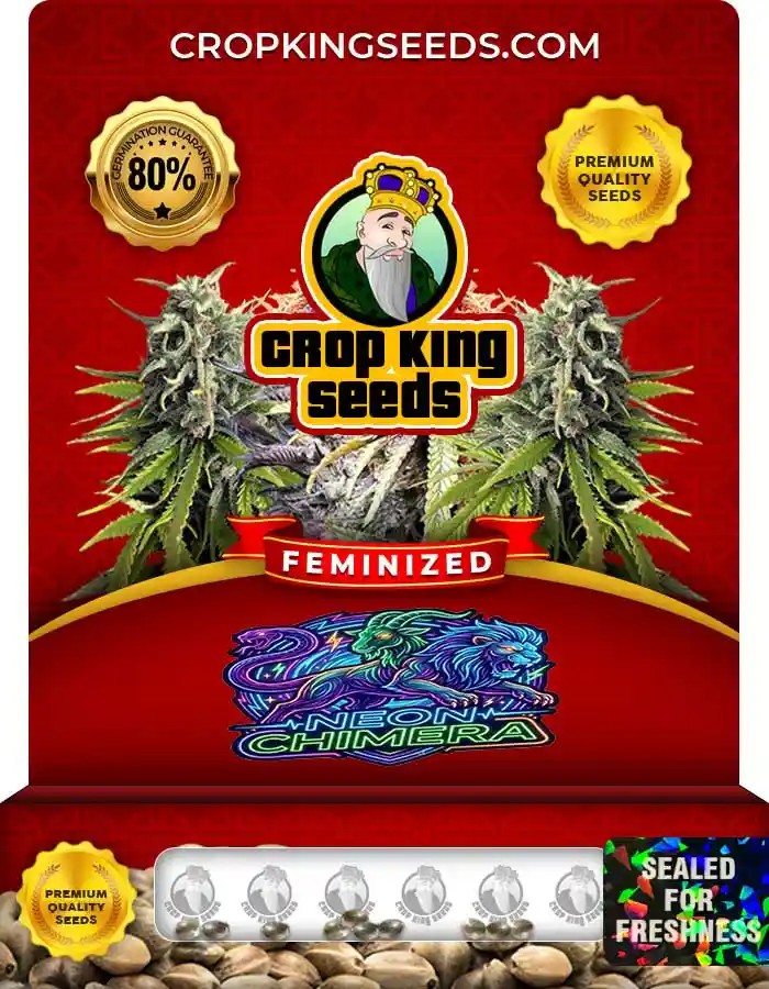 Neon Chimera Strain Feminized Seeds