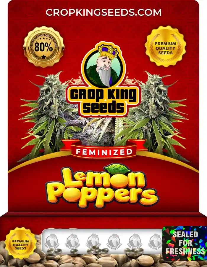 Lemon Poppers Strain Feminized Marijuana Seeds