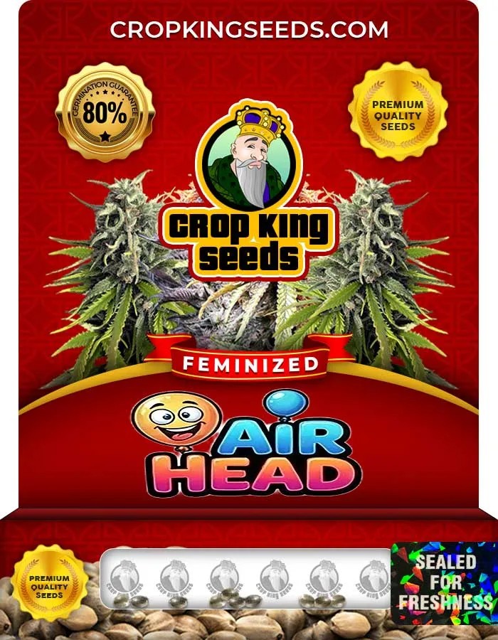 Air Head Strain Feminized Seeds