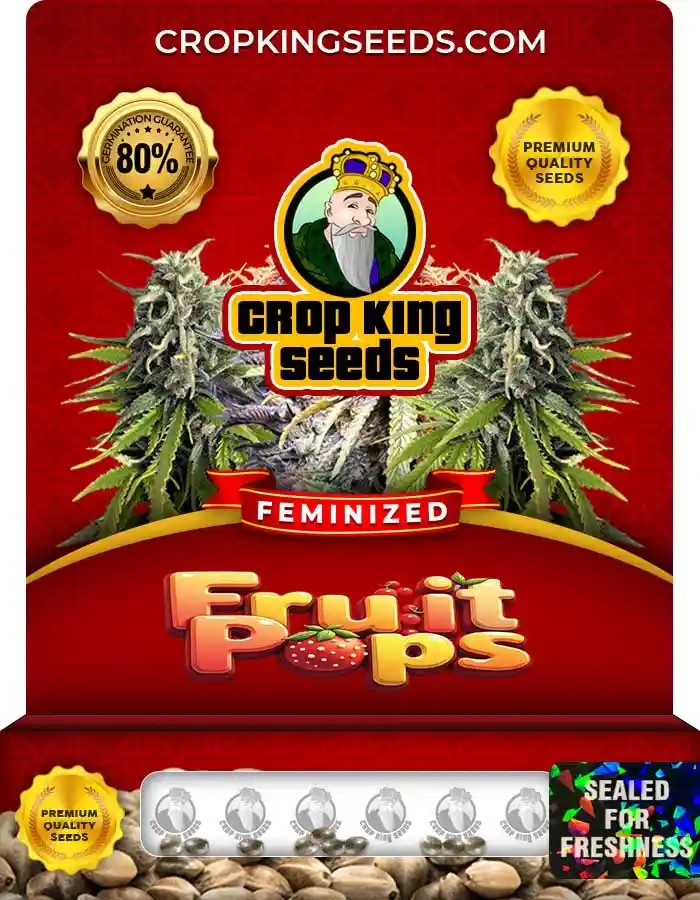 Fruit Pops Strain Feminized Marijuana Seeds