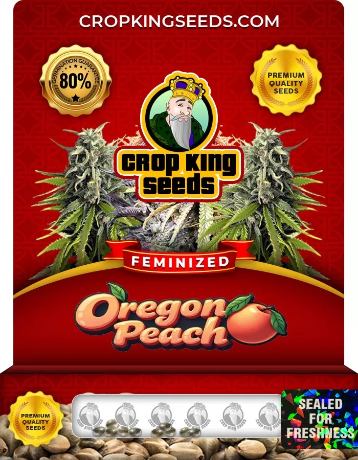 Oregon Peach Feminized Marijuana Seeds