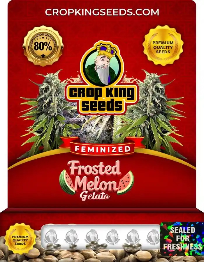 Frosted Melon Gelato Feminized Seeds