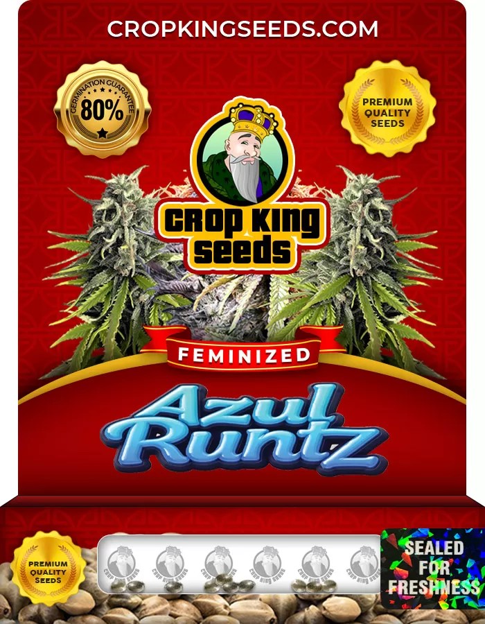 Azul Runtz Feminized Marijuana Seeds