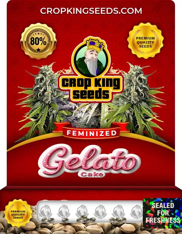 Gelato Cake Strain Feminized Marijuana Seeds