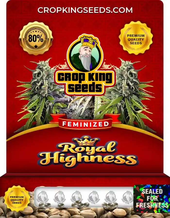 Royal Highness Strain Feminized Marijuana Seeds