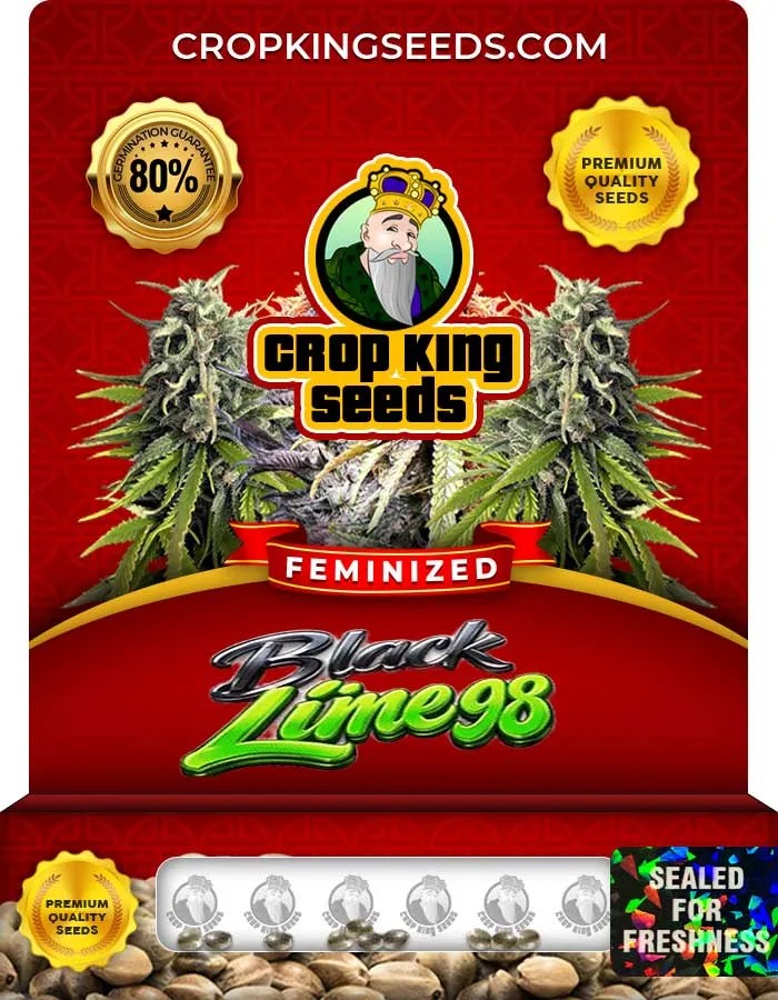 Black Lime 98 Strain Feminized Seeds