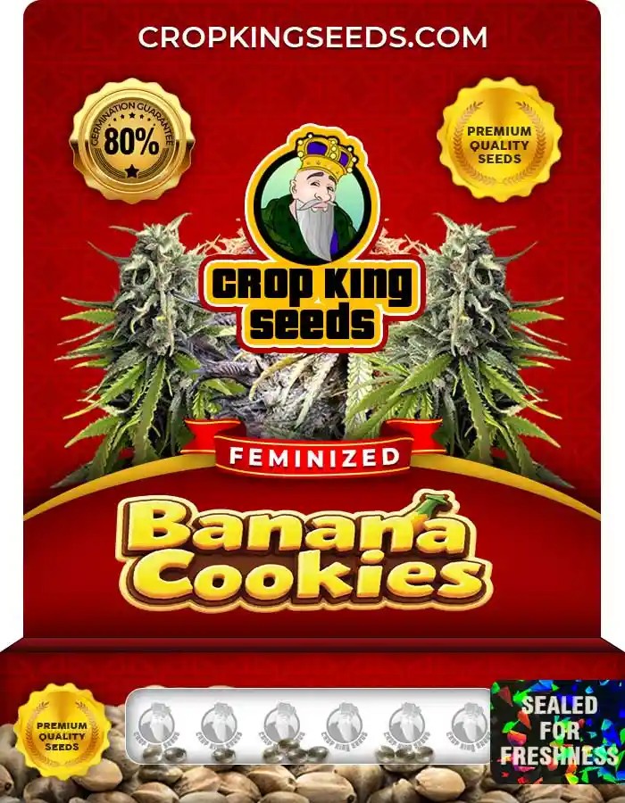 Banana Cookies Strain Feminized Marijuana Seeds