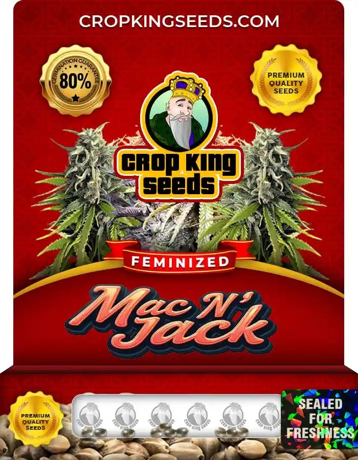 Mac N Jack Strain Feminized Marijuana Seeds