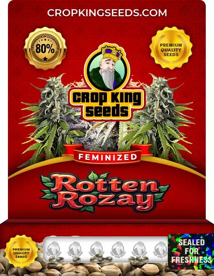 Rotten Rozay Feminized Seeds