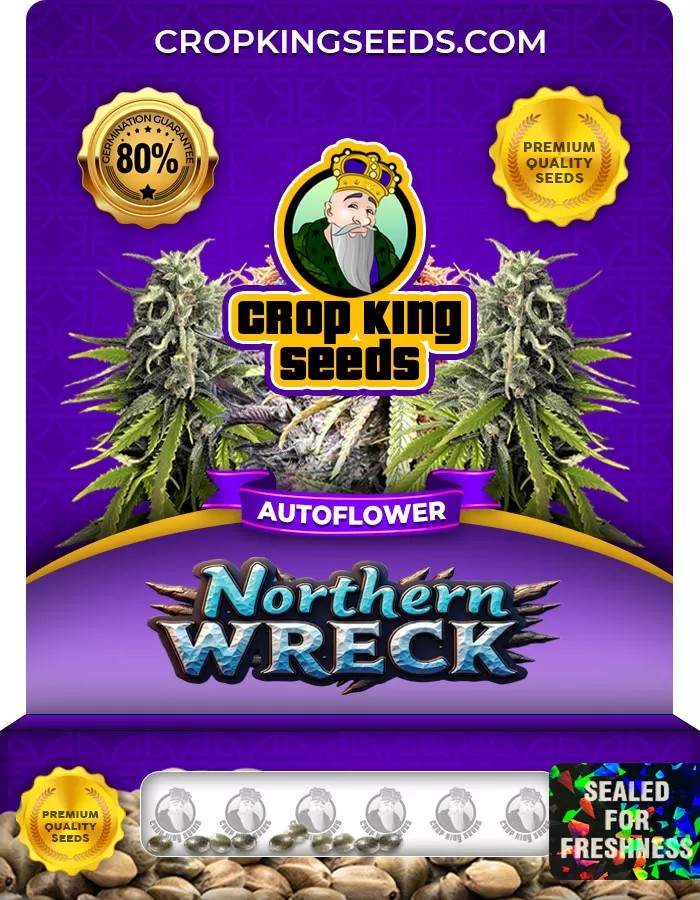 Northern Wreck Autoflower Marijuana Seeds