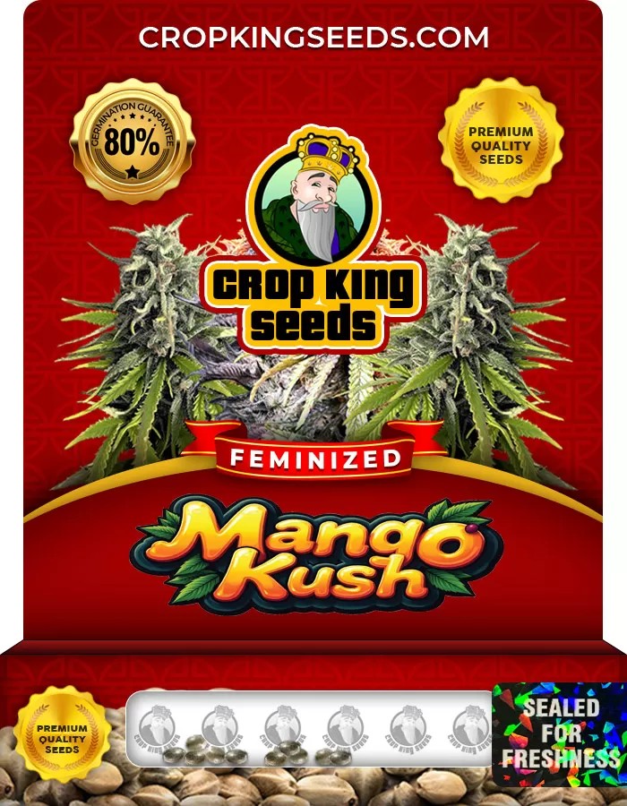 Mango Kush Feminized Marijuana Seeds